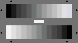 <h2>HDTV Log. Gray Scale Test Chart, 13 steps, contrast 1:20